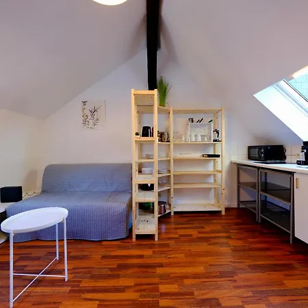 Apartamento Le Toit Des Carmes *