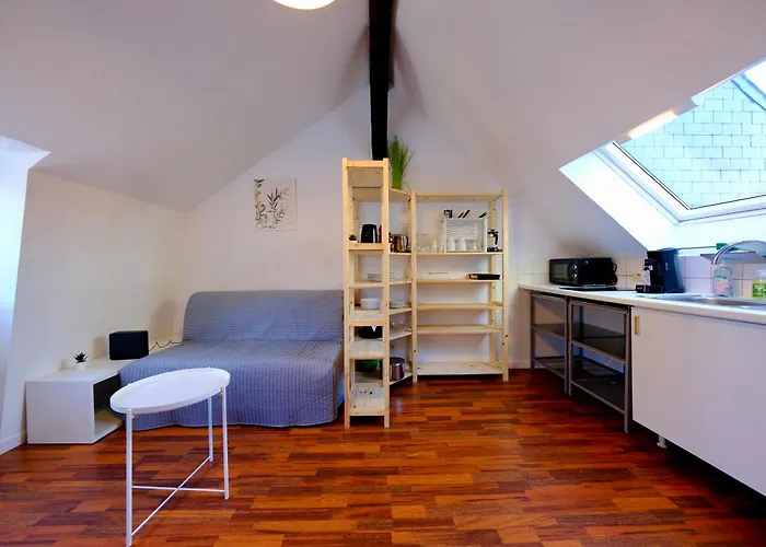 Apartment Le Toit Des Carmes *